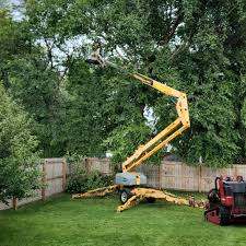 Professional Tree Removal and Landscaping Services in Falls Creek, PA